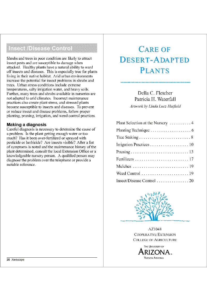 Care of Desert02